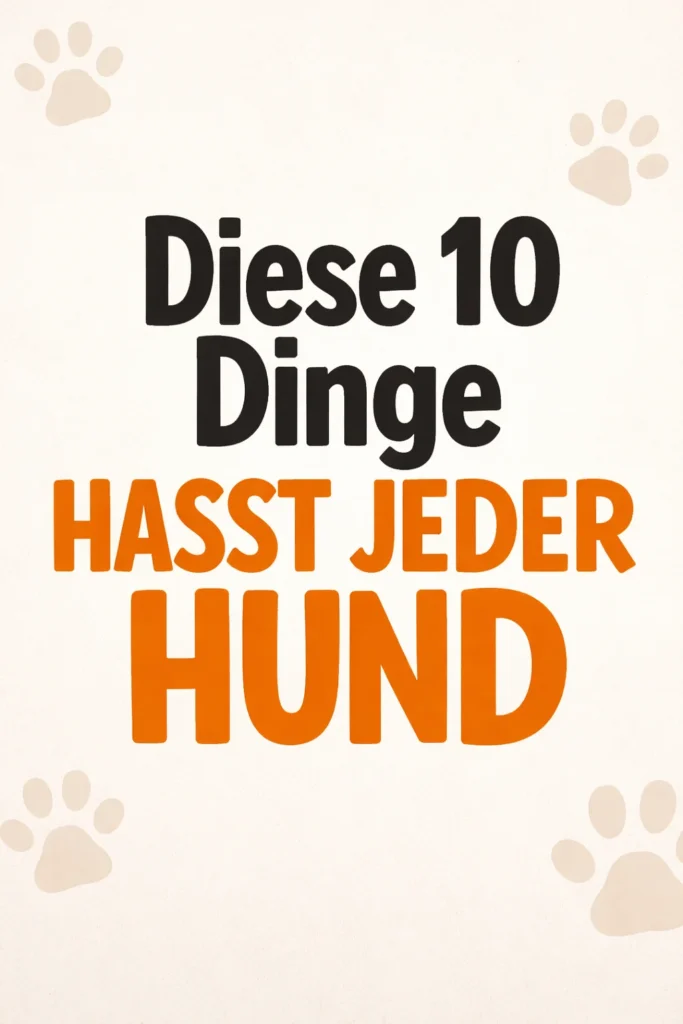Liste von 10 Dingen, die Hunde hassen, um das Wohlbefinden zu verbessern.