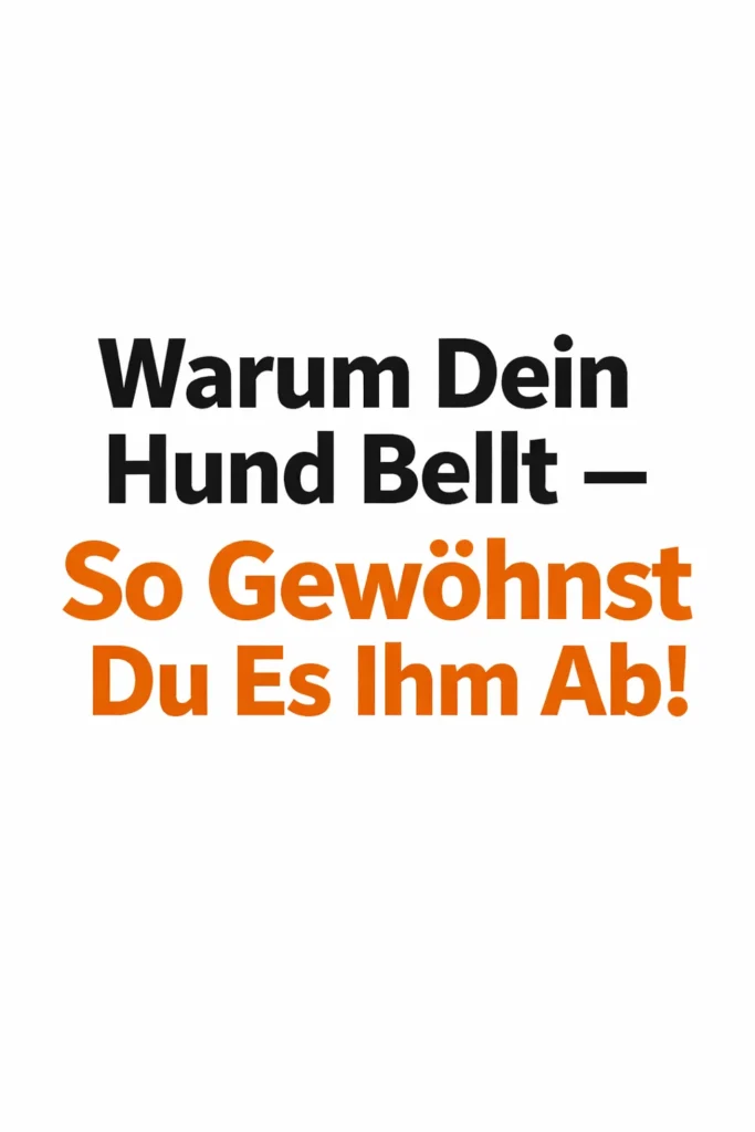 Hund bellt und sein Besitzer lernt, das Verhalten zu verstehen.