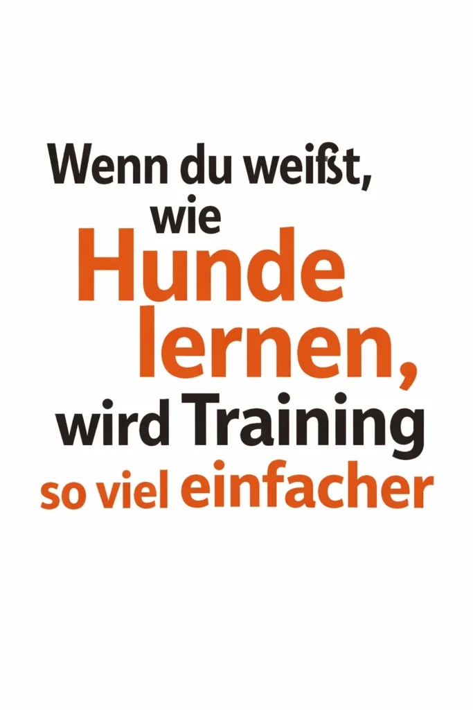 Hund beim Training: Verständnis für das Lernen von Hunden für besseres Hundetraining