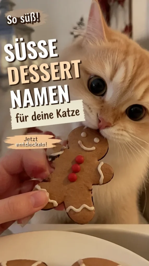 85 süße Dessert-Katzennamen für deine Katze