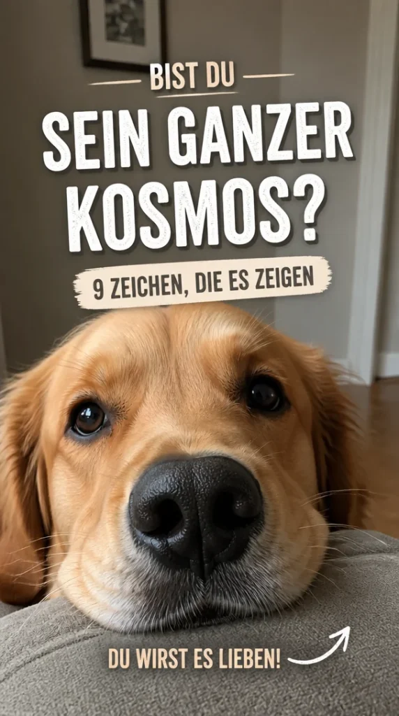 Hund und Mensch in harmonischer Beziehung - Hundes Kosmos erkunden