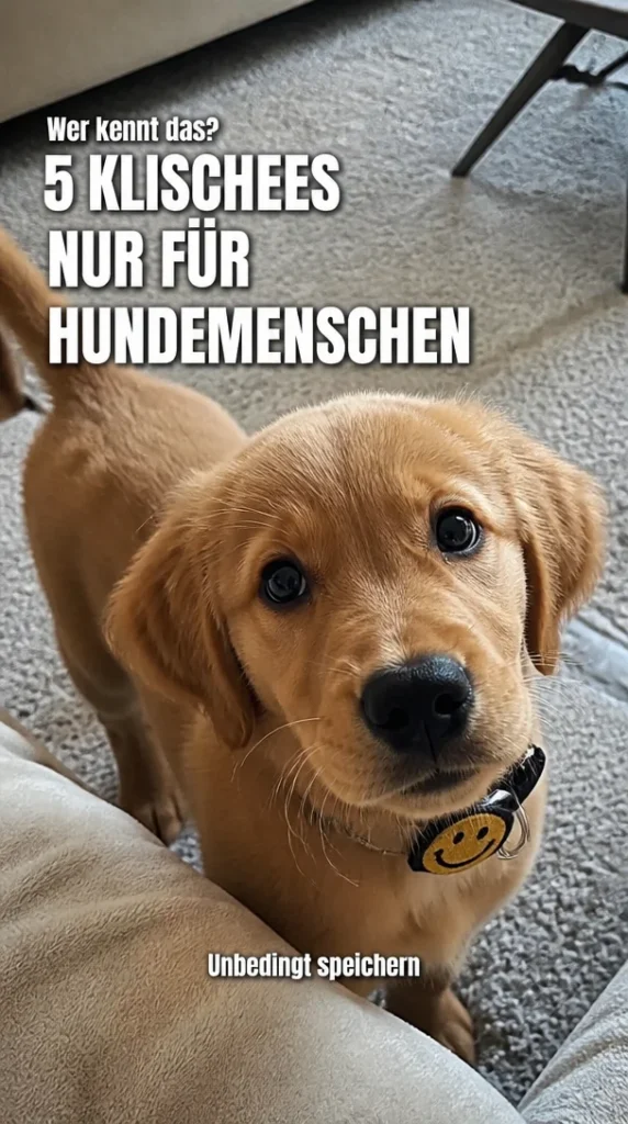 Ein Bild, das die Klischees von Hundemenschen zeigt und ihre Persönlichkeit widerspiegelt.
