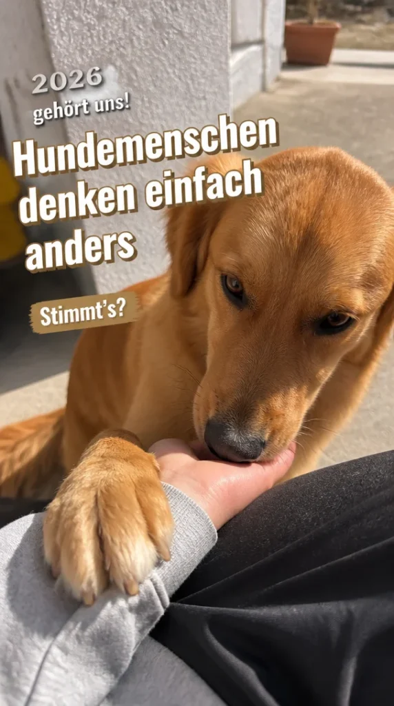 Grafik der grünen Flaggen für Hundemenschen 2026 und deren neue Denkweise.