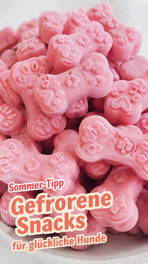 Hausgemachte gefrorene Snacks für Hunde