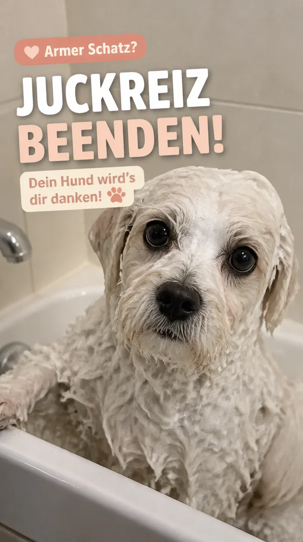 Soforthilfe bei Juckreiz für Hunde
