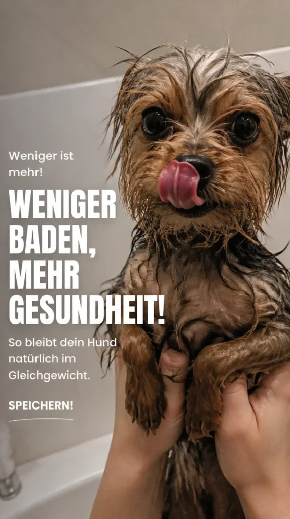 Hund mit gesunden Mikroben nach weniger Baden - Tipps zum Hundemikrobiom